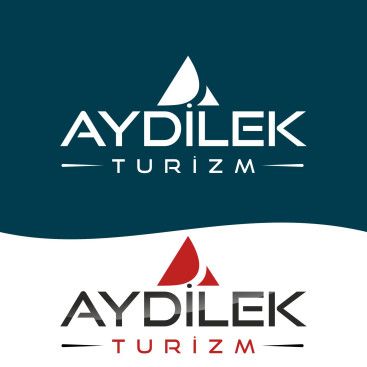 TURİZM TAŞIMA FİRMAMIZA LOGO VE KURUMSAL yarışmasına tasarımcı Kızılelma_03 tarafından sunulan  tasarım 