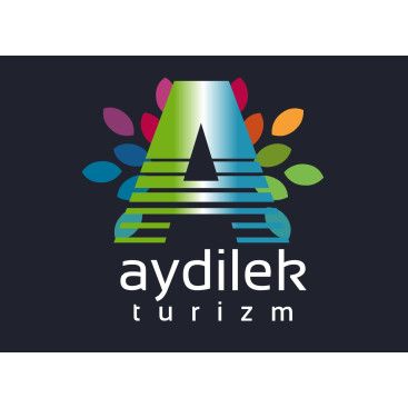 TURİZM TAŞIMA FİRMAMIZA LOGO VE KURUMSAL yarışmasına tasarımcı KnockOut tarafından sunulan  tasarım 