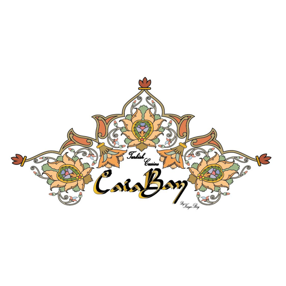 MODERN ŞIK BİR LOGO ARIYORUZ