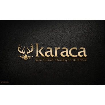 SADE VE ETKİLİ LOGO ARIYORUZ  yarışmasına tasarımcı reng tarafından sunulan  tasarım 