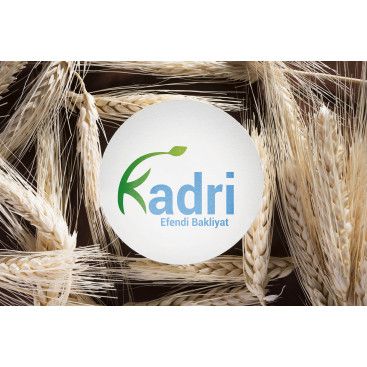 Kadri efendi yarışmasına tasarımcı BedriyePAKIR tarafından sunulan  tasarım 