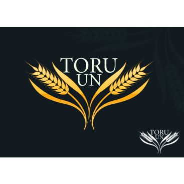 UN FABRİKAMIZ İÇİN LOGO ARIYORUZ yarışmasına tasarımcı bitlikedipisfare tarafından sunulan  tasarım 