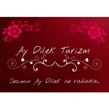 TURİZM TAŞIMA FİRMAMIZA LOGO VE KURUMSAL yarışmasına tasarımcı 71murat tarafından sunulan  tasarım 