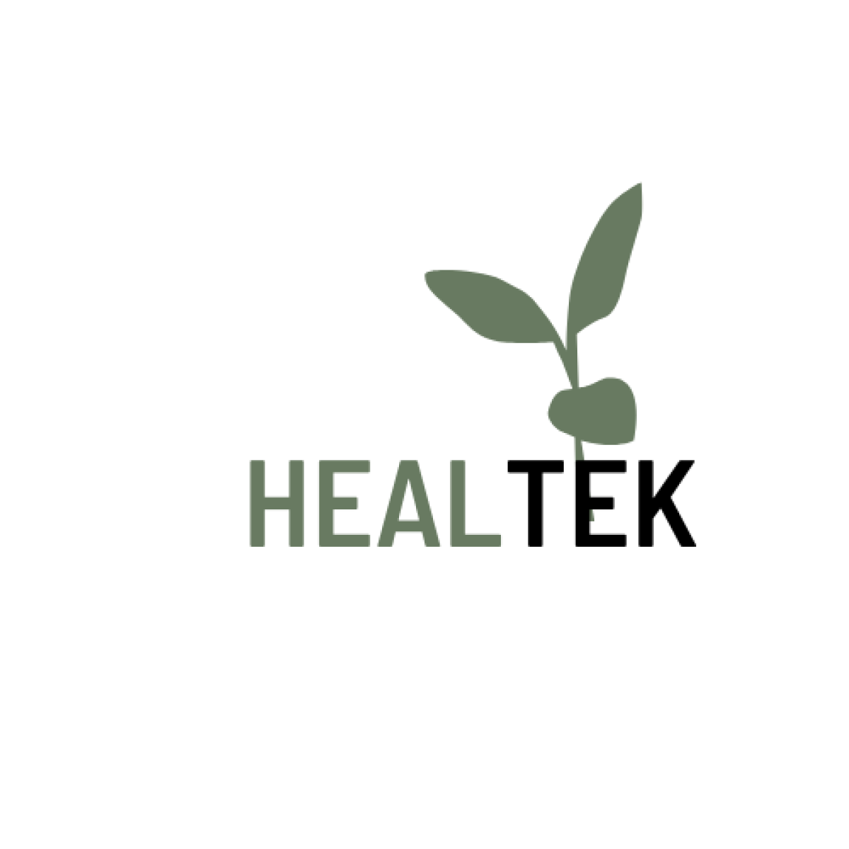 Tasarlayan Roma- sonuçlanan healtek markasına logo