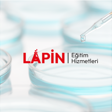 Lapin Eğitim Hizmetleri  yarışmasına tasarımcı sıfırsekizreklam tarafından sunulan  tasarım 