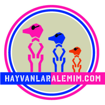 Hayvanlara Dair Herşey !!!  yarışmasına tasarımcı Ferhatdr tarafından sunulan  tasarım 