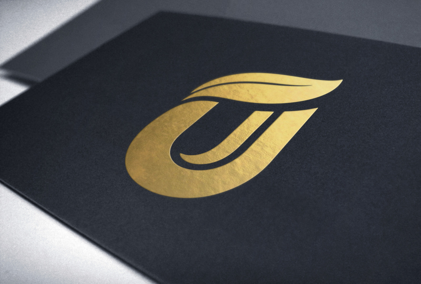 Tasarlayan zydesign-AİLE ŞİRKETİMİZ İÇİN ULUS'A YAKIŞIR LOGO