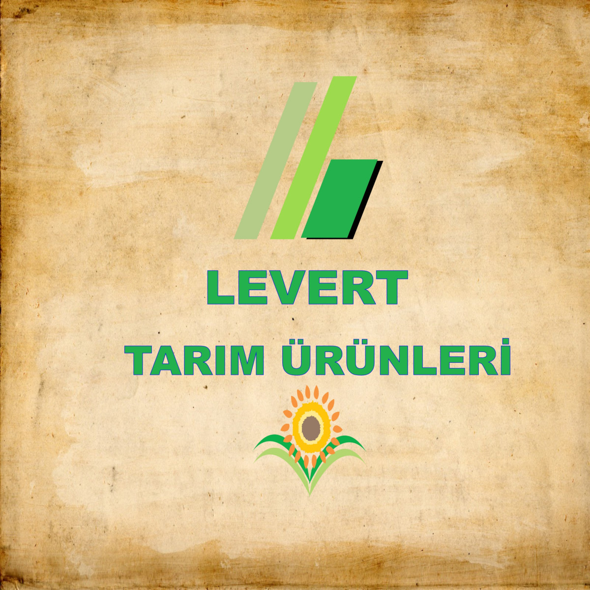 Tasarlayan Hancı-Zarif ve Ciddi Logo Design