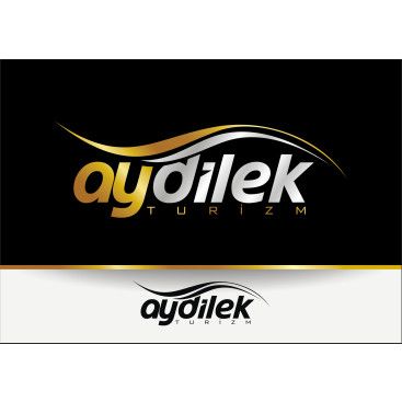 TURİZM TAŞIMA FİRMAMIZA LOGO VE KURUMSAL yarışmasına tasarımcı RΛPİDO tarafından sunulan  tasarım 