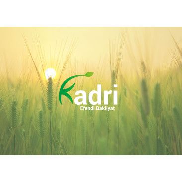 Kadri efendi yarışmasına tasarımcı BedriyePAKIR tarafından sunulan  tasarım 