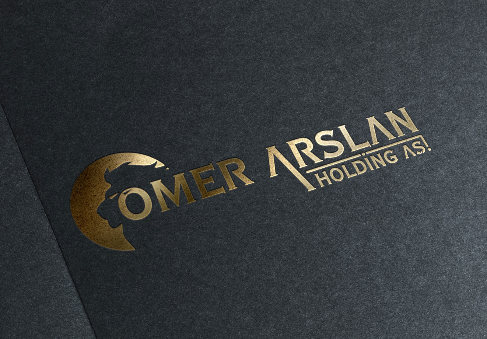 Tasarlayan hbgrafik-Dikkat çekici Holding Logosu
