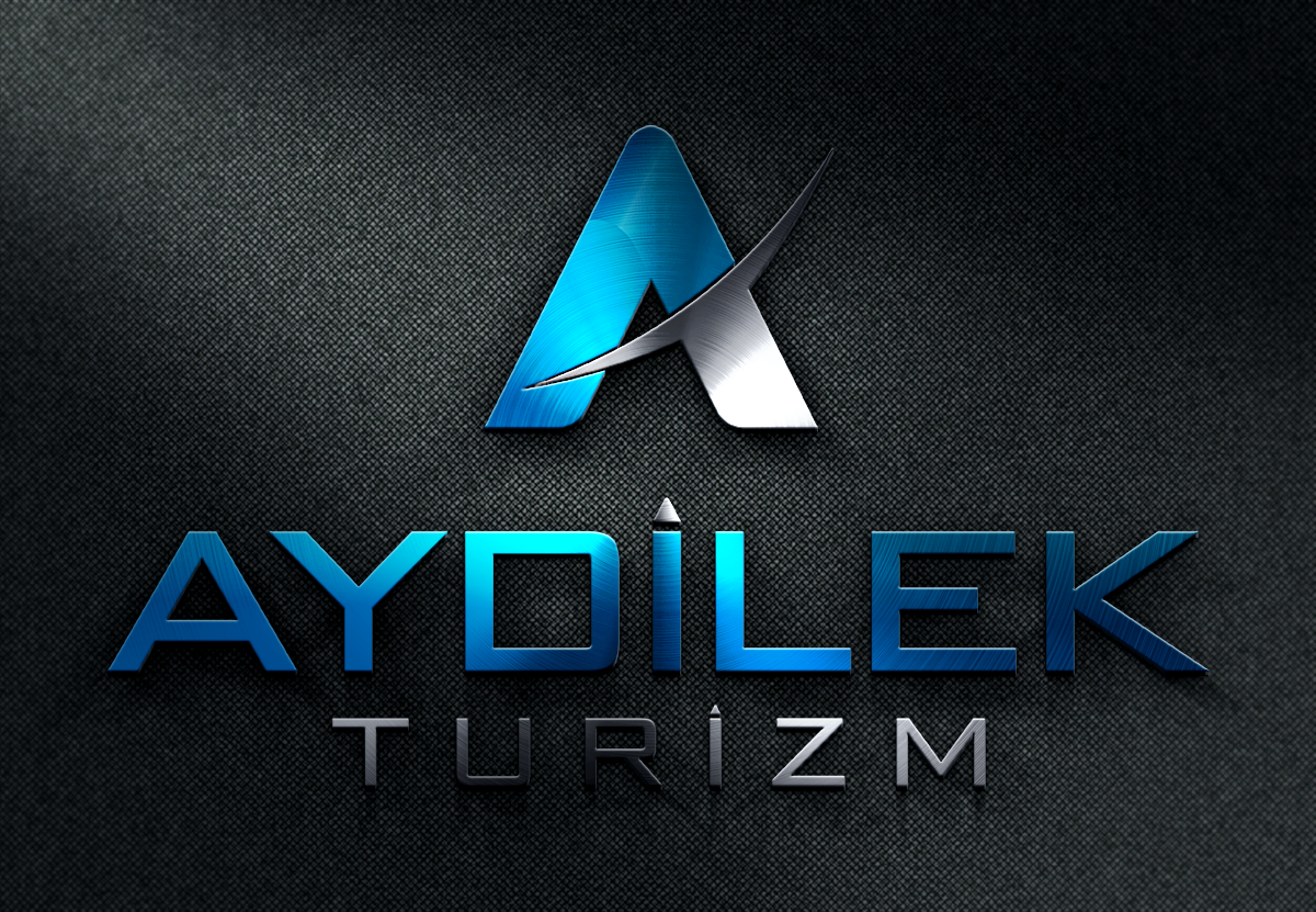 Tasarlayan baylishka-TURİZM TAŞIMA FİRMAMIZA LOGO VE KURUMSAL
