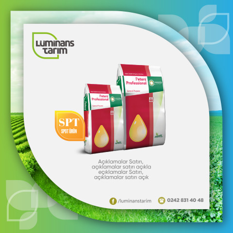 Kurumsal Sosyal Medya Paylaşım Şablonu