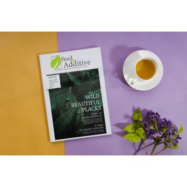 Dergi Logosu Tasarımı yarışmasına tasarımcı comlektegrafik tarafından sunulan  tasarım 