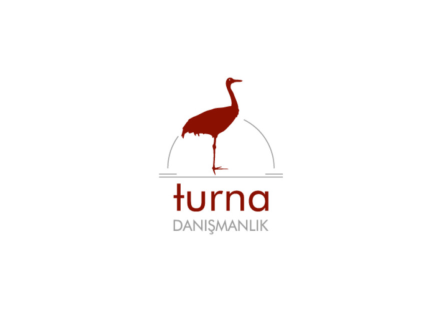 Danışmanlık Şirketi Logo Tasarımı yarışmasına tasarımcı dcreagraph tarafından sunulan  tasarım 