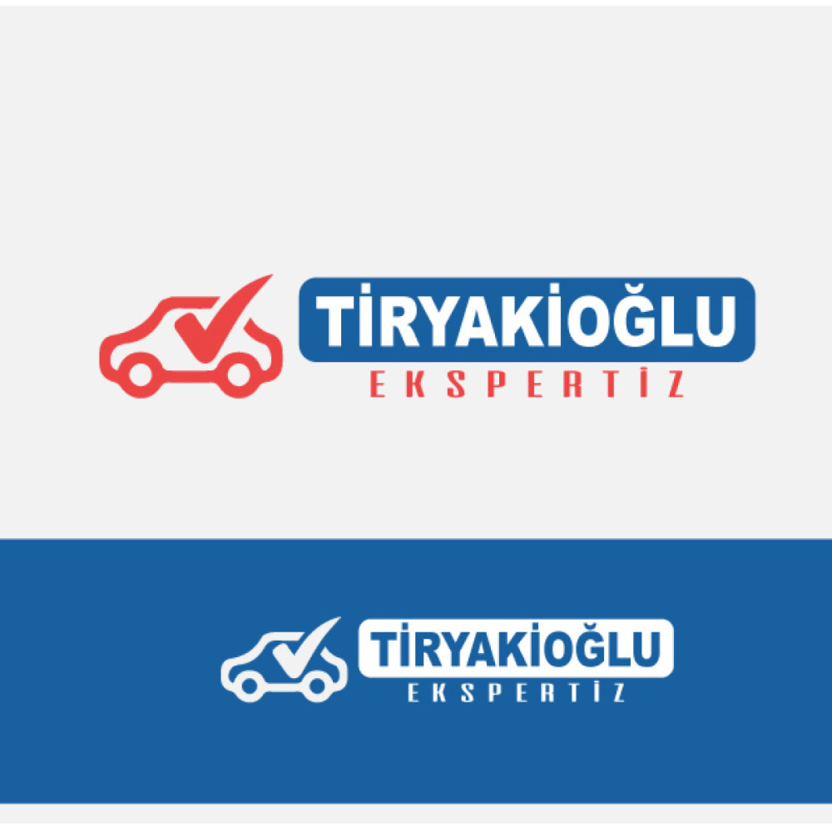 Tasarlayan Chiwely-Tiryakioğlu Ekspertiz - LOGO