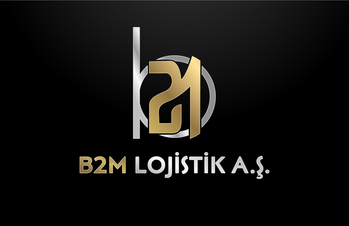 Tasarlayan Graffin_Bey-Lojistik şirketi kurumsal+logo 