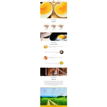 YUMURTA FİRMAMIZA WEB TASARIM yarışmasına tasarımcı drenk tarafından sunulan  tasarım 