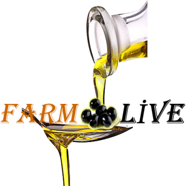 Zeytin ve Zeytin Ürünleri İçin Logo yarışmasına tasarımcı Halit tarafından sunulan  tasarım 