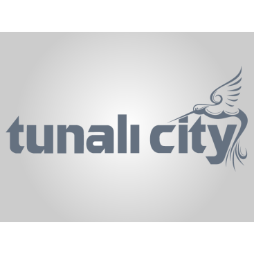 İnşaat ve Ticaret yarışmasına tasarımcı karadenizli__61 tarafından sunulan  tasarım 