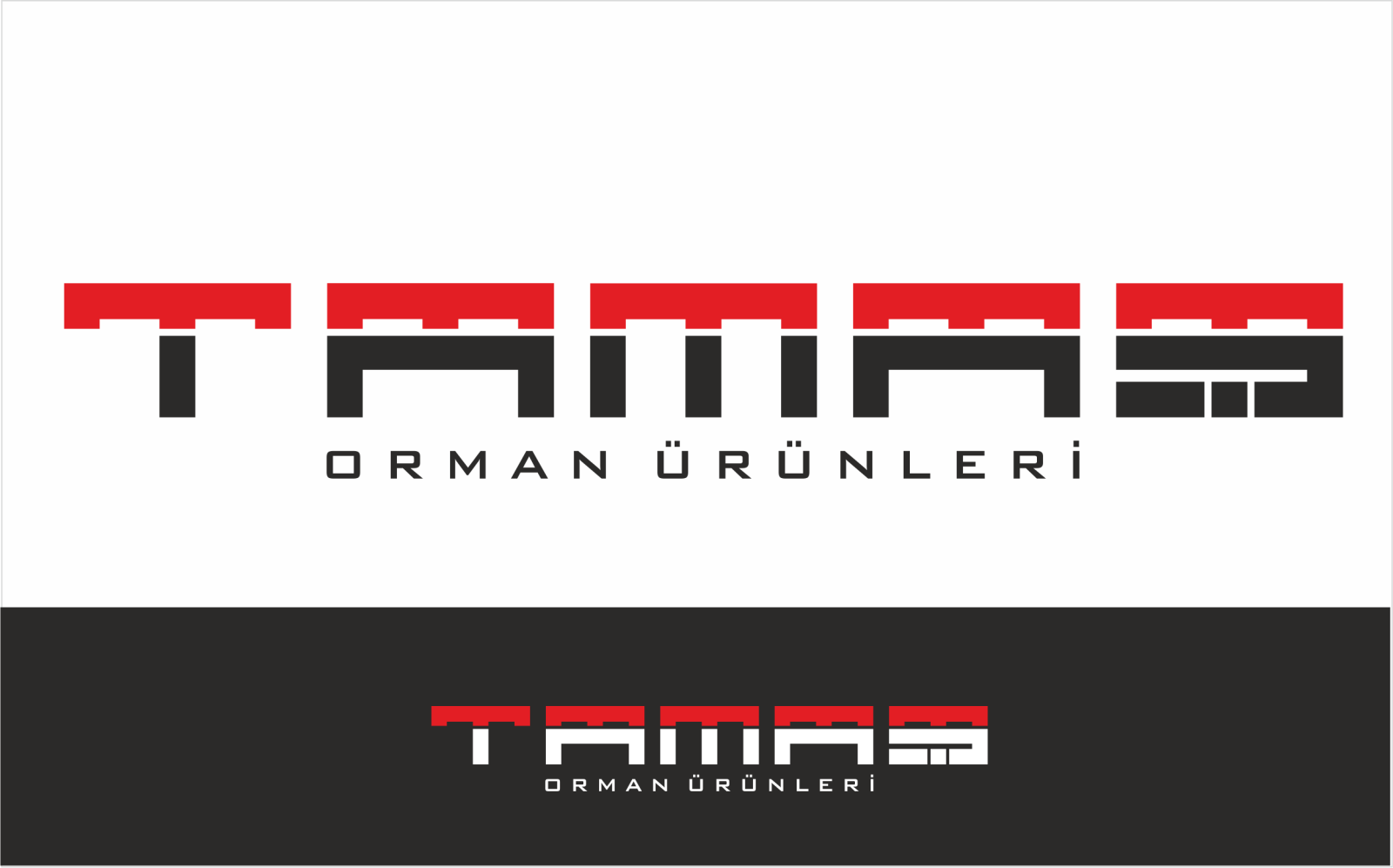 Tasarlayan ErcanH-Avrupa standardında modern Palet Logosu