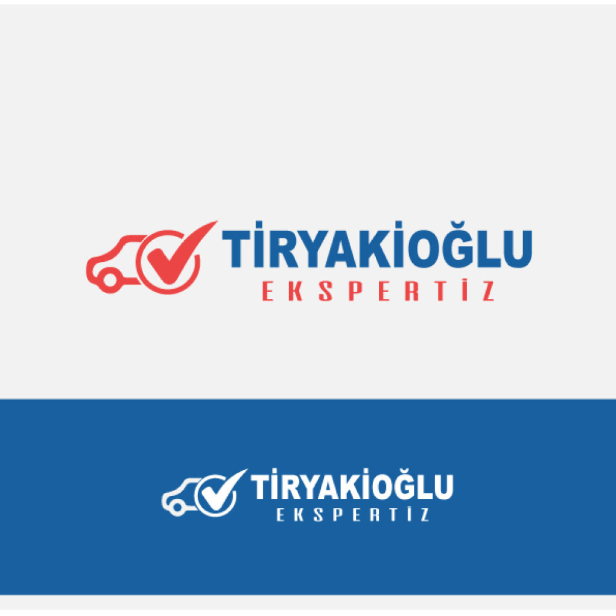 Tasarlayan Chiwely-Tiryakioğlu Ekspertiz - LOGO