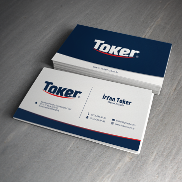 Lokalde lider firmamız için Logo yarışmasına tasarımcı Lostscream tarafından sunulan  tasarım 