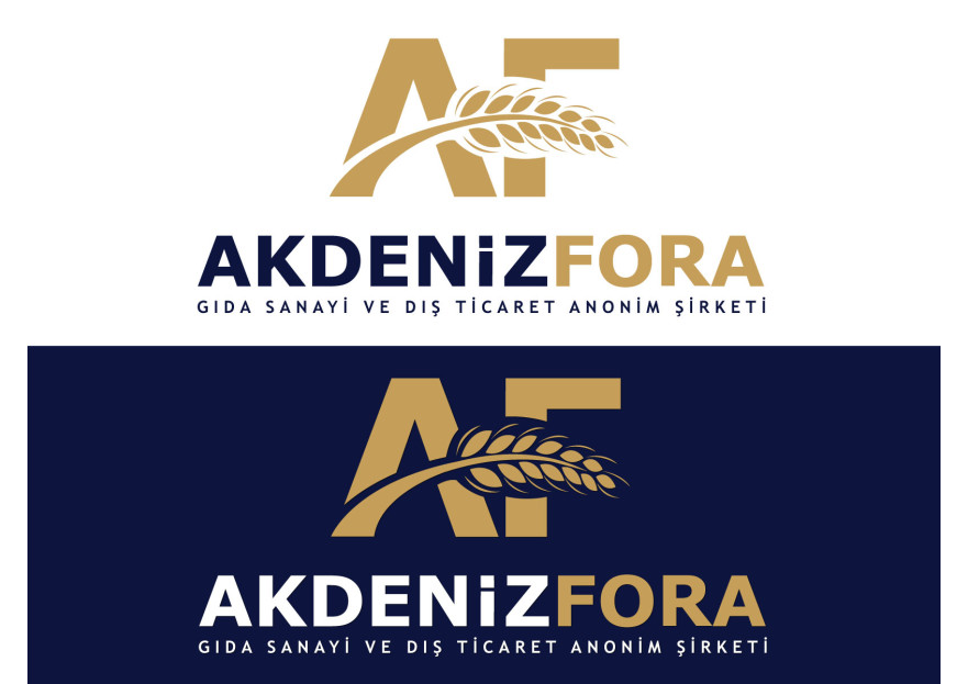 Dış Ticaret Firmamıza Kurumsal Kimlik yarışmasına tasarımcı melek gümüş tarafından sunulan  tasarım 