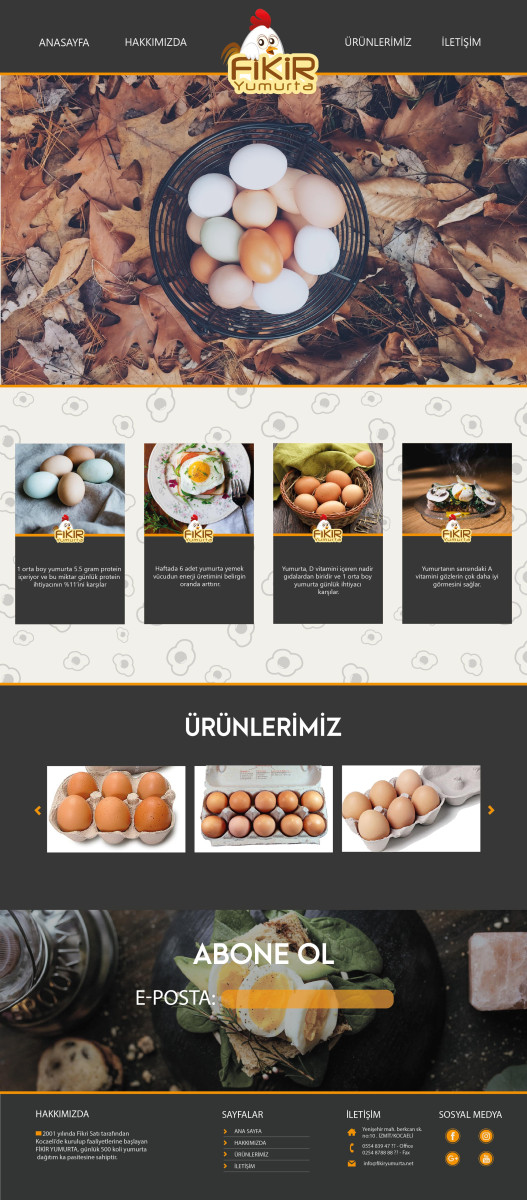 Tasarlayan Alegro-YUMURTA FİRMAMIZA WEB TASARIM