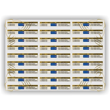 Tur Programları Broşürü yarışmasına tasarımcı barpek tarafından sunulan  tasarım
