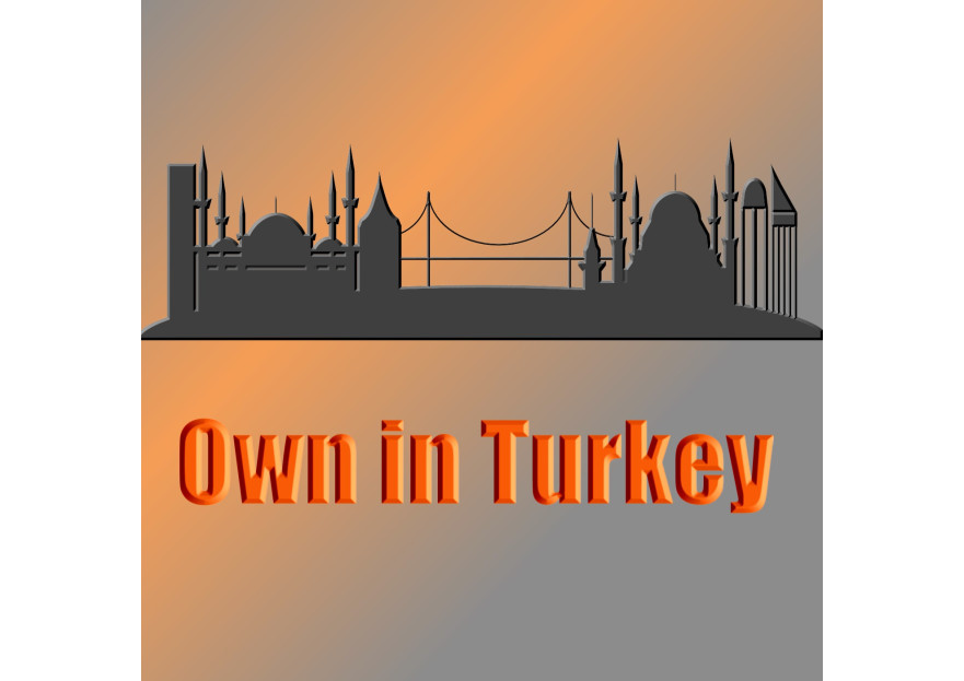 Own In Turkey için Logo yarışmasına tasarımcı Hancı tarafından sunulan  tasarım 