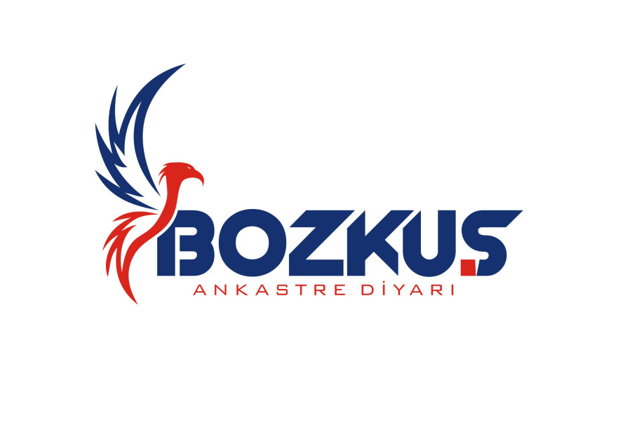 BOZKUŞ LOGO TASARIMI yarışmasına tasarımcı RΛPİDO ™ tarafından sunulan  tasarım 