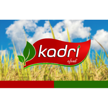 Kadri efendi yarışmasına tasarımcı X266 tarafından sunulan  tasarım 