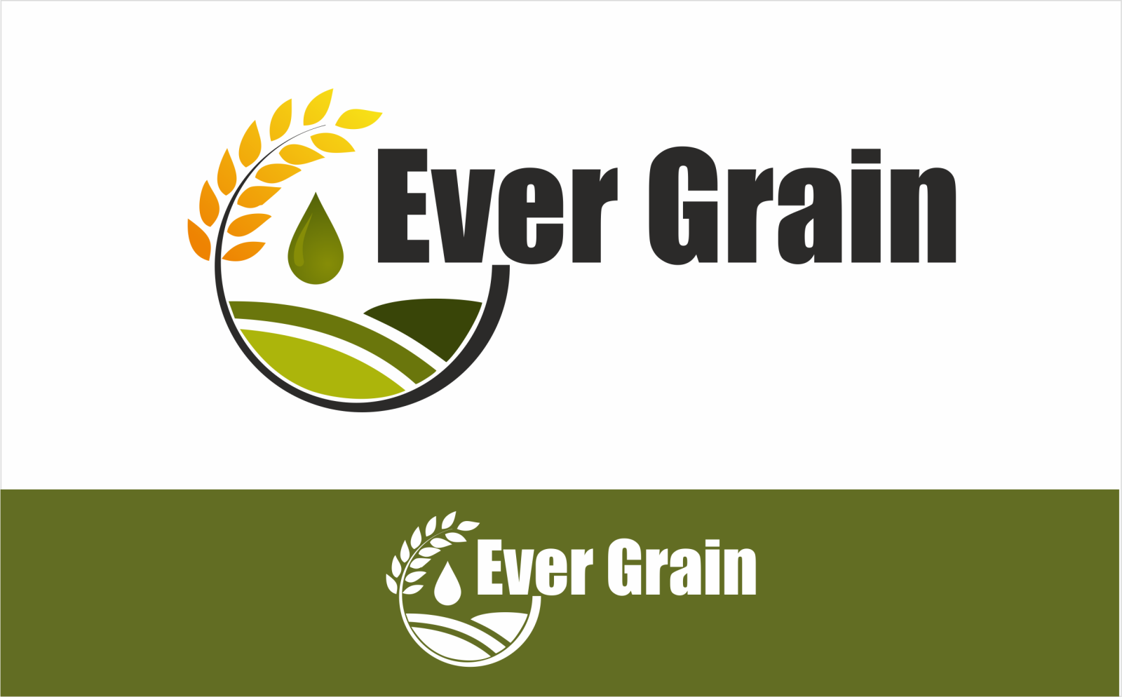 Tasarlayan ErcanH-EverGrain LLC