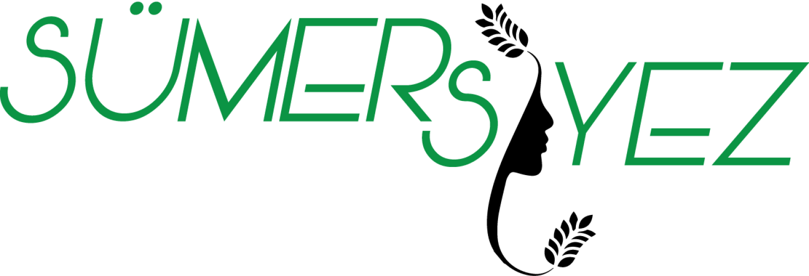 Tasarlayan Pineappleᵀᴹ-SÜMER SİYEZ LOGO TASARIMI
