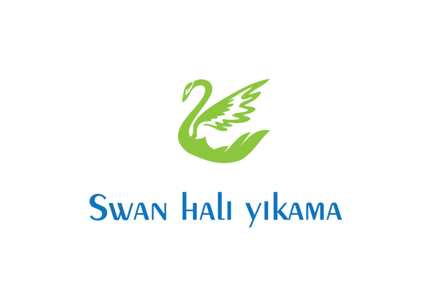 HALI YIKAMA FİRMASI LOGOSUNU ARIYOR yarışmasına tasarımcı Kalem tarafından sunulan  tasarım 