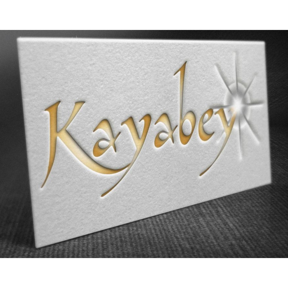 MODERN ŞIK BİR LOGO ARIYORUZ