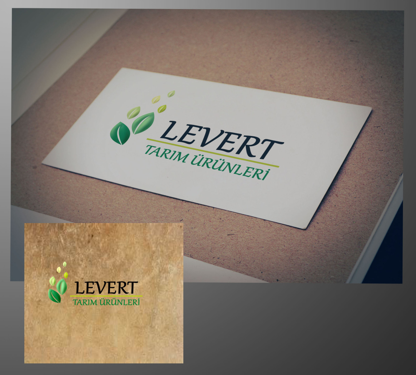 Tasarlayan Hancı-Zarif ve Ciddi Logo Design