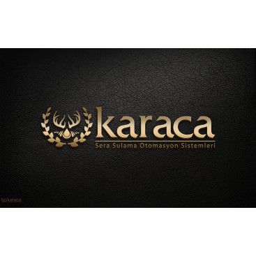 SADE VE ETKİLİ LOGO ARIYORUZ  yarışmasına tasarımcı reng tarafından sunulan  tasarım 