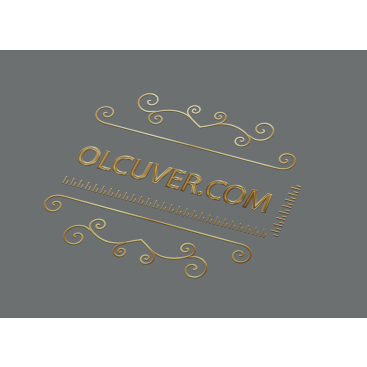 logo tasarımı yarışmasına tasarımcı darkwep tarafından sunulan  tasarım 