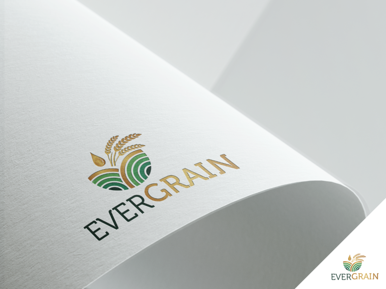 Tasarlayan GCLONR-EverGrain LLC
