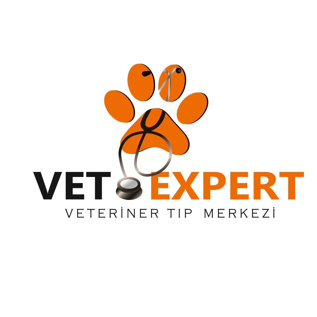 Tasarlayan designo-Veteriner Kliniği logo tasarimi ornekli