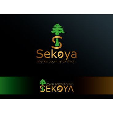 Lüks ahşap yarışmasına tasarımcı Etrah™ tarafından sunulan  tasarım 