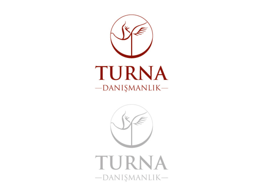 Danışmanlık Şirketi Logo Tasarımı yarışmasına tasarımcı dcreagraph tarafından sunulan  tasarım 