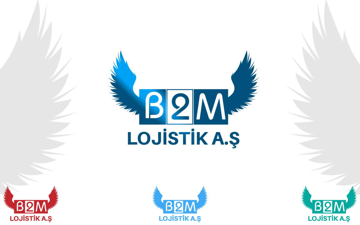 Tasarlayan Technozede-Lojistik şirketi kurumsal+logo 