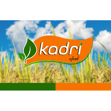 Kadri efendi yarışmasına tasarımcı X266 tarafından sunulan  tasarım 