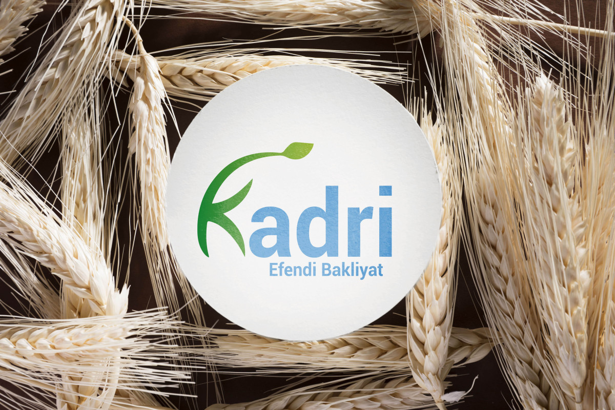 Tasarlayan BedriyePAKIR-Kadri efendi