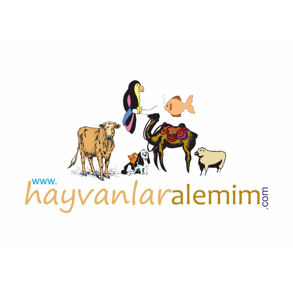 Hayvanlara Dair Herşey !!!  yarışmasına reikilam tarafından girilen tasarım