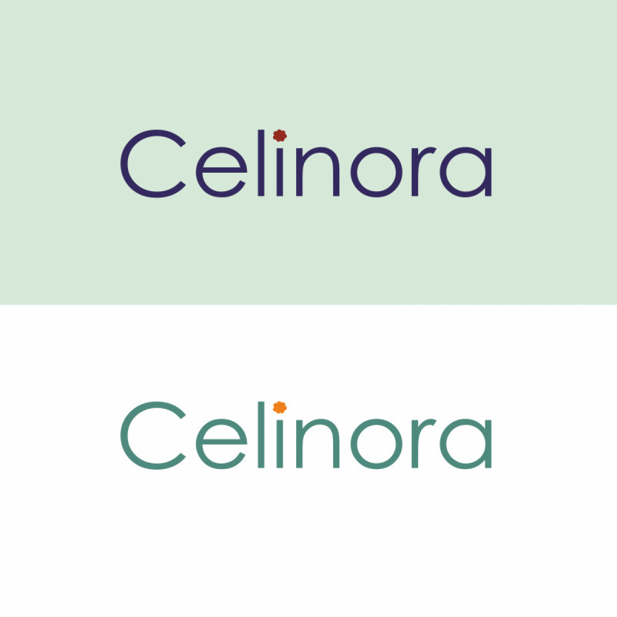 Tasarlayan RenkesTasarım-Celinora markamıza logo arıyoruz. 