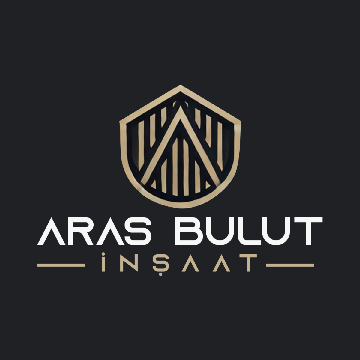 Tasarlayan DD Sanat™-ARAS BULUT İNŞAAT LOGO TASARIMI